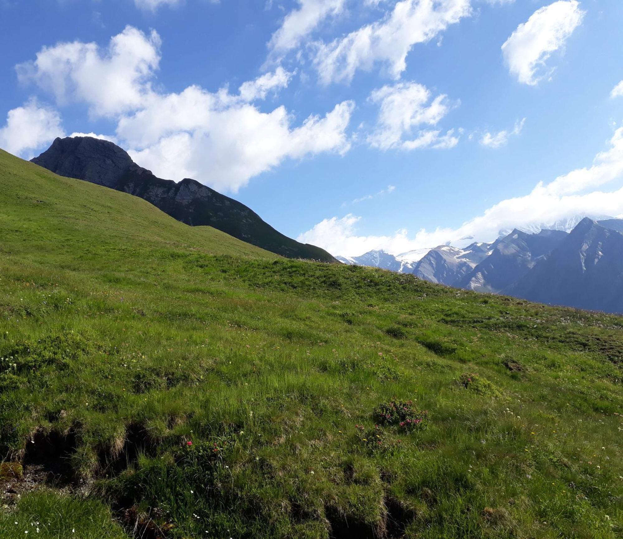 Sonnenhof Lejlighed Kals-am Großglockner Eksteriør billede